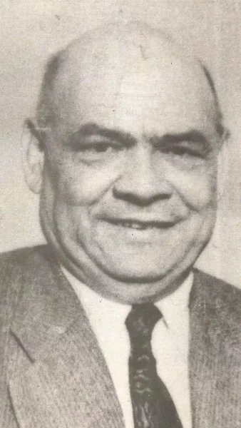 محمود بدر الدين