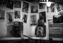 Professor Organizes Bus Boycott