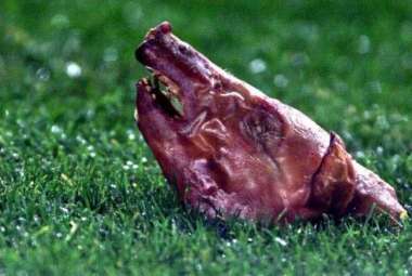 مباراة في رمضان.. ريال مدريد وبرشلونة