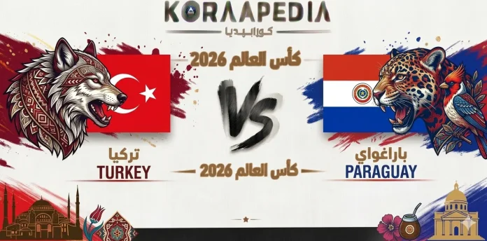 مباراة تركيا وباراغواي