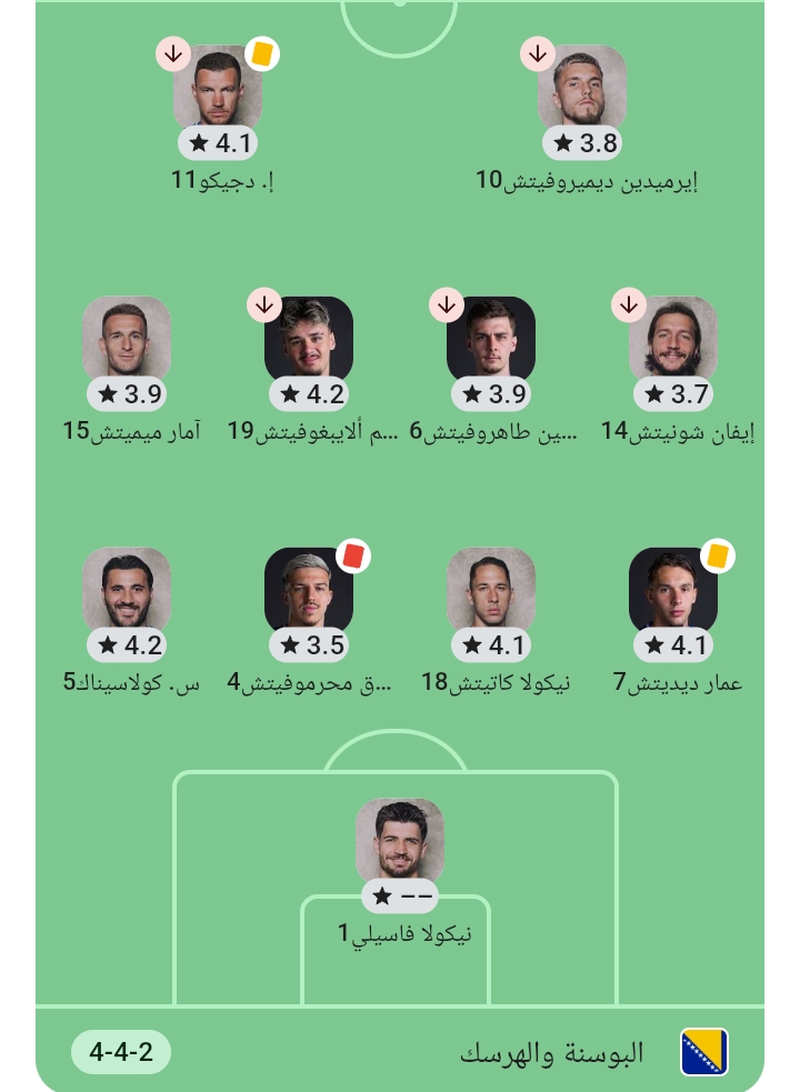تشكيل منتخب البوسنة والهرسك