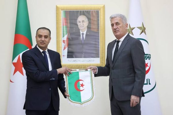 فلاديمير بيتكوفيتش